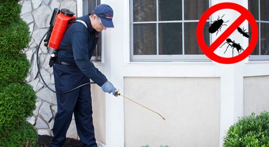Diyadin Dezenfeksiyon böcek ilaçlama ve haşere kontrolü — ilaclama-tr.com